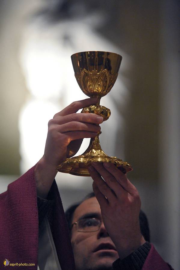 Nom de l'image : D30045881_1_(c)Norbert-JUNG — Description :